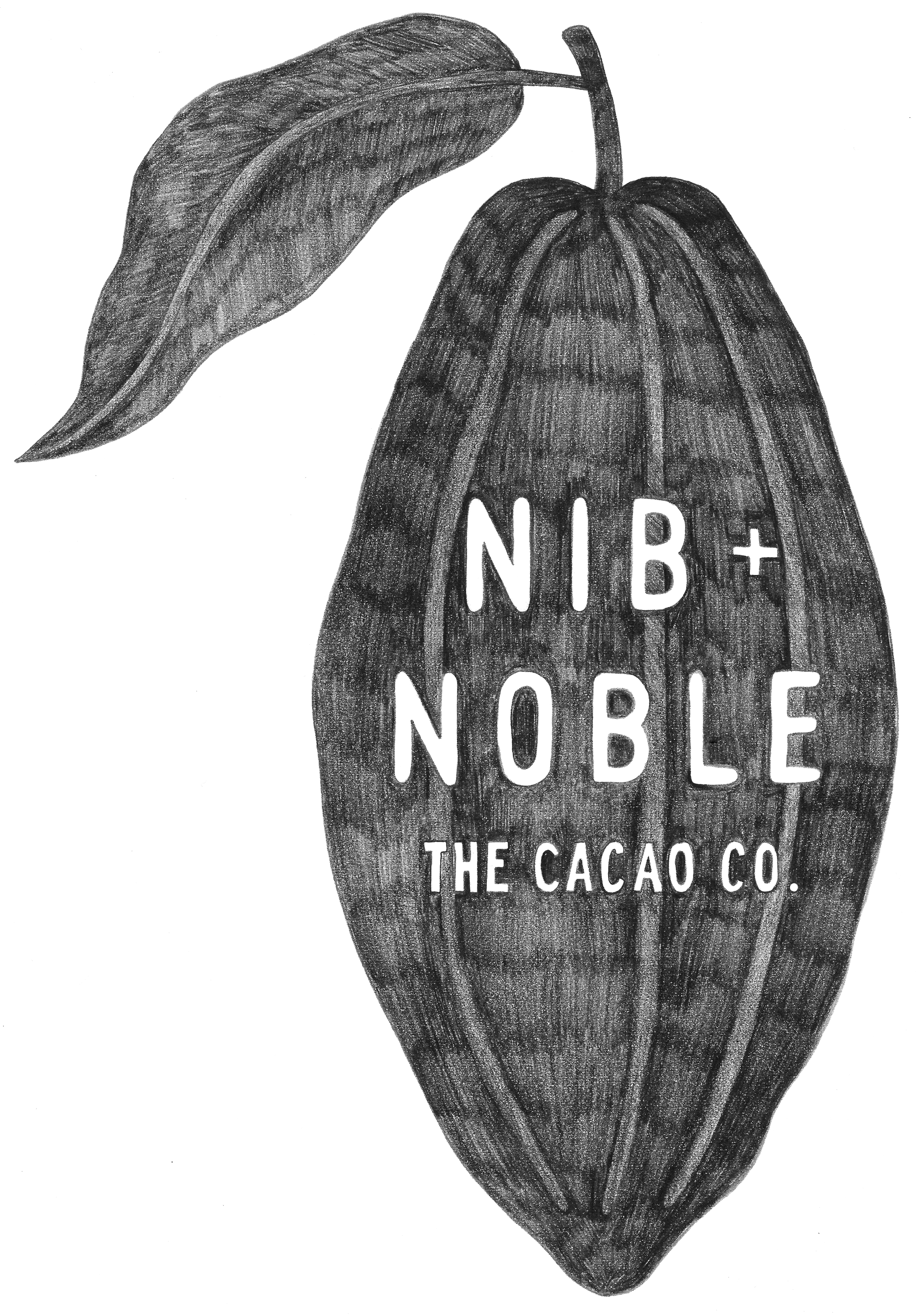 Nib and Noble organic hot chocolate, dairy free, plant based, gluten free, certified organic. Cacao powder and coconut sugar. Better for your body